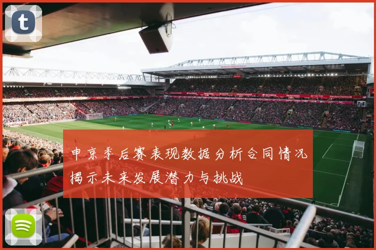 申京季后赛表现数据分析合同情况揭示未来发展潜力与挑战