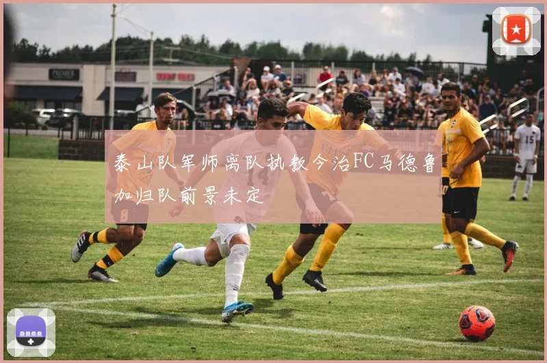 泰山队军师离队执教今治FC马德鲁加归队前景未定