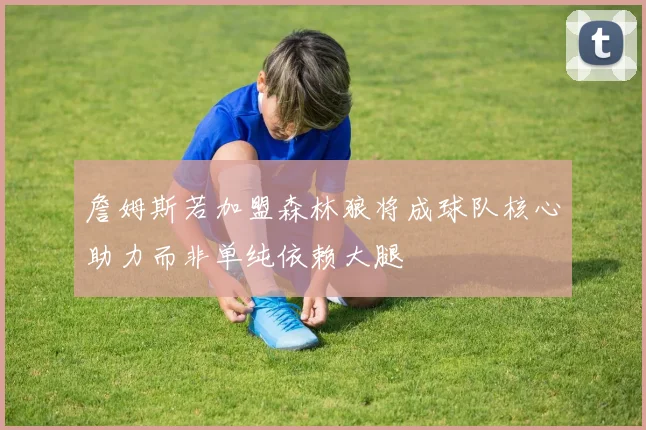 詹姆斯若加盟森林狼将成球队核心助力而非单纯依赖大腿